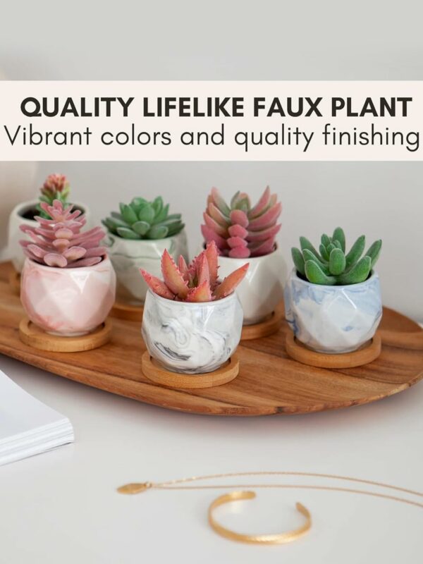 Pack of 6 Artificial Succulent Plants for Home Decor - Multi Size - Image 5