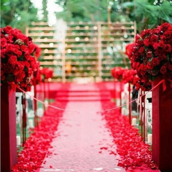 500 Pcs Artificial Silk Rose Petals for Weddings & Parties - Image 2