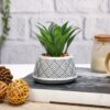 Small Ceramic Miniature Artificial Flower for Home & Office D?cor