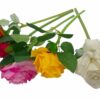 10 Multicolor Artificial Rose Flower Sticks for Home Decor