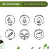 Pure Peppermint Essential Oil - Therapeutic Grade 30ml
