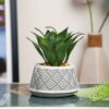 Small Ceramic Miniature Artificial Flower for Home & Office D?cor