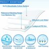 Super Absorbent Underpads for Adults - Large 60x90 cm, Pack of 30