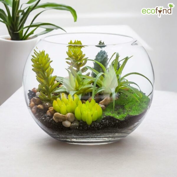 Ecofynd Glass Terrarium Bowl - 4inch Clear Aquarium Bowl - Image 4