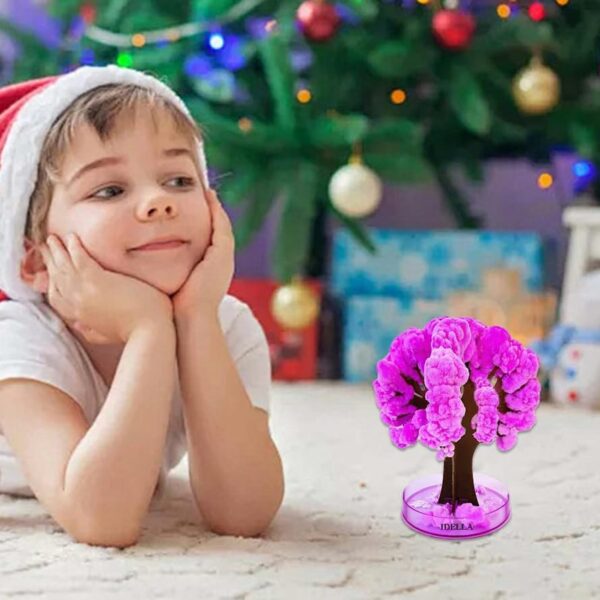 Sakura Magic Trees - Japanese Miniature Cherry Blossom Kit - Image 5