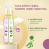 Baby Toothbrush Set of 2 for Infants (6m-36m) - BPA Free