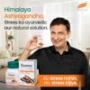 Ashwagandha Wellness Tablets for Stress Relief & Energy - 60 Tablets
