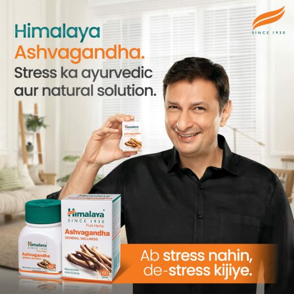 Ashwagandha Wellness Tablets for Stress Relief & Energy - 60 Tablets - Image 3