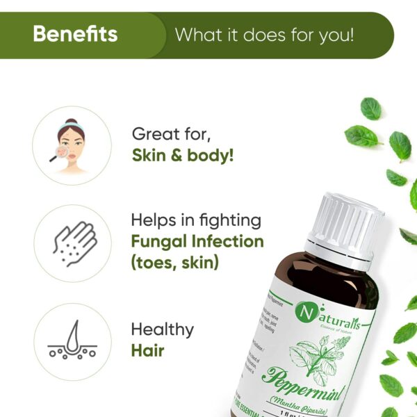 Pure Peppermint Essential Oil - Therapeutic Grade 30ml - Image 3