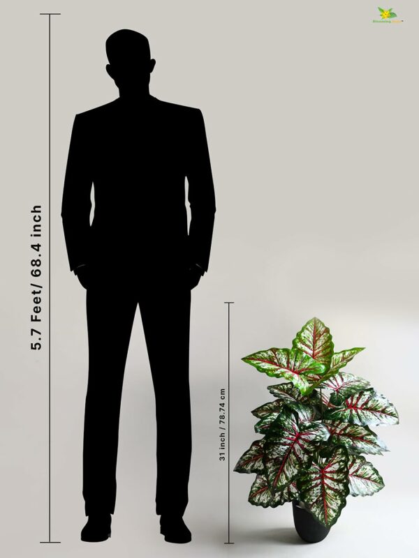 Artificial Tropical Caladium Plant 78.7 Cm Tall with 18 Leaves - Image 3