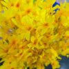 Artificial Yellow Lily Flowers Bunch for Home & Office Decor - 60cm