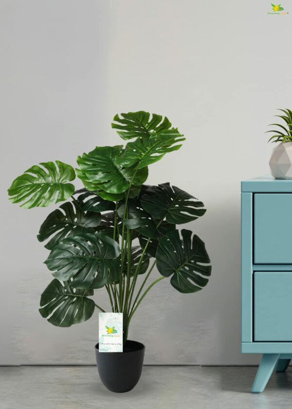 Artificial Monstera Plant with Black Pot - 63.5 cm Tall - Image 3