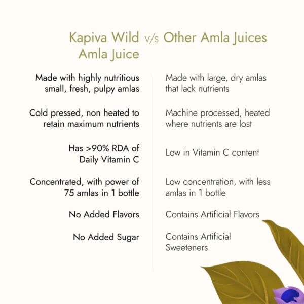Kapiva Wild Amla Juice 1L - Natural Vitamin C for Hair & Skin - Image 5