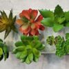 6 Pcs Artificial Succulent Heads for Home & Office Decor