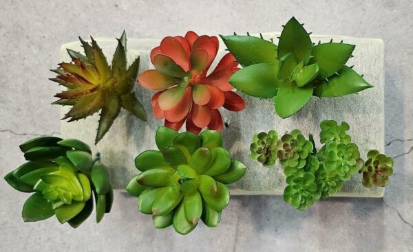 6 Pcs Artificial Succulent Heads for Home & Office Decor - Image 6