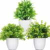 Mini Eucalyptus Faux Potted Plants for Home Decor