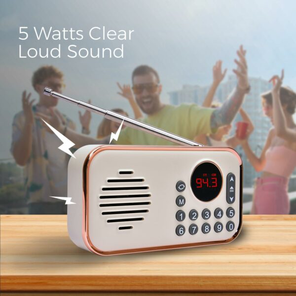 Portable FM Radio with Bluetooth, USB, TF & Type C Charging - Image 4