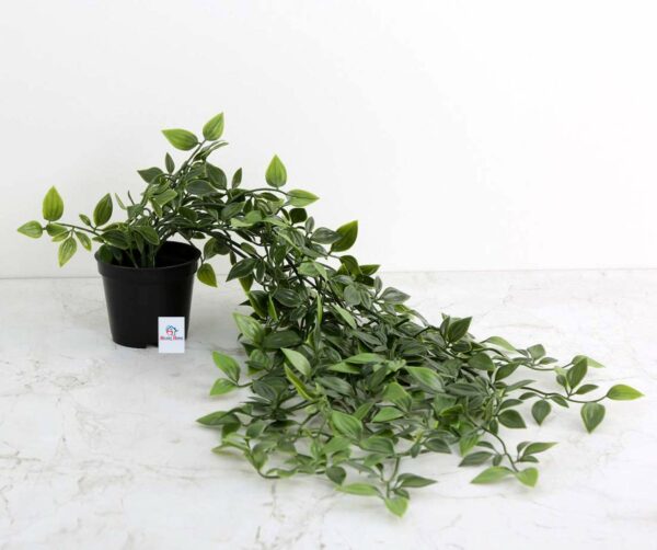 Mini Plastic Potted Vine Plant for Home Office & Bathroom D?cor - Image 5
