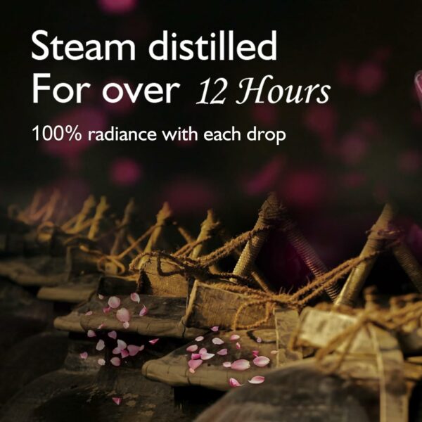 Gentle Rose Glow Face Cleanser - 400ml | Hydrating & Balancing - Image 5