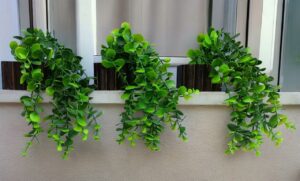Pack of 3 Hanging Artificial Foliage Vine Plants - 28cm Green