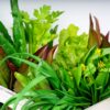 Lifelike Artificial Celery Decoration - 10.2" PVC