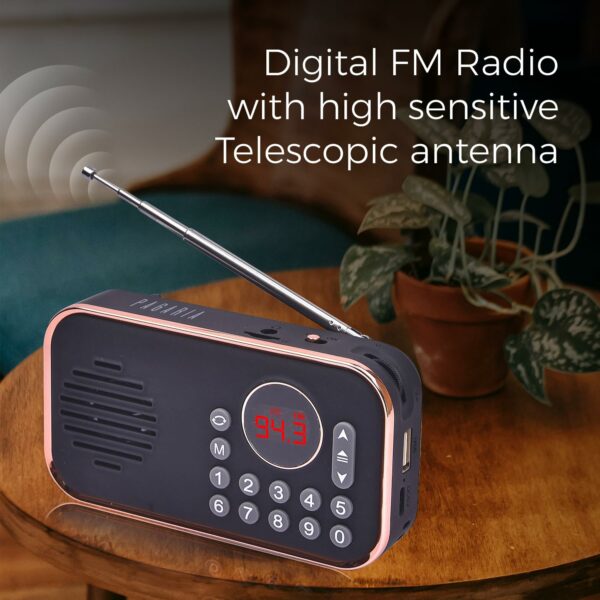 Portable FM Radio with Bluetooth and Rechargeable Battery - Image 2