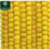 10 Pcs Indian Handmade Artificial Marigold Garland Flowers - 4.5-4.9Ft for Decoration