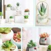 Pack of 6 Artificial Succulent Plants for Home Decor - Multi Size