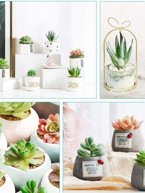 Pack of 6 Artificial Succulent Plants for Home Decor - Multi Size - Image 3