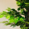 6 FT Ficus Artificial Plant with Basic Pot - Perfect Home Decor
