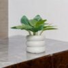 Artificial Plants for Home Decor - Pack of 4, Multicolor
