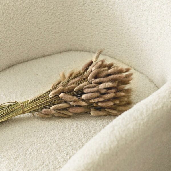 60 Pcs Dried Phalaris Grass for Home & Office Decor - Image 2
