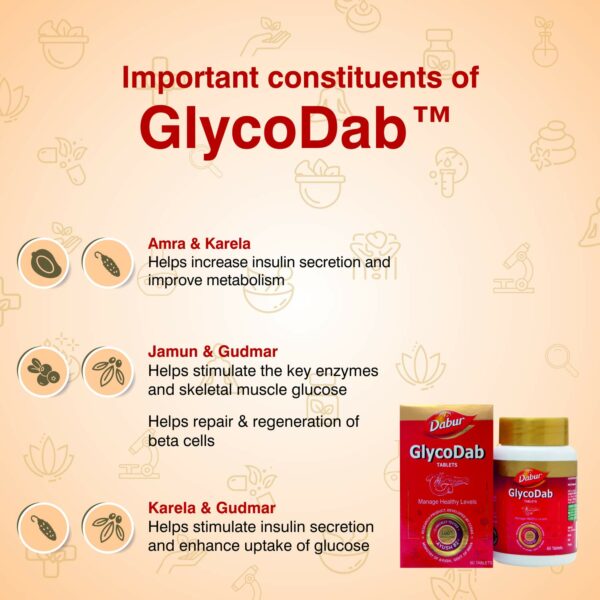 GlycoDab Tablets - 60 Ayurvedic Tablets for Healthy Living - Image 4