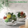 Ecofynd Glass Terrarium Bowl - 4inch Clear Aquarium Bowl
