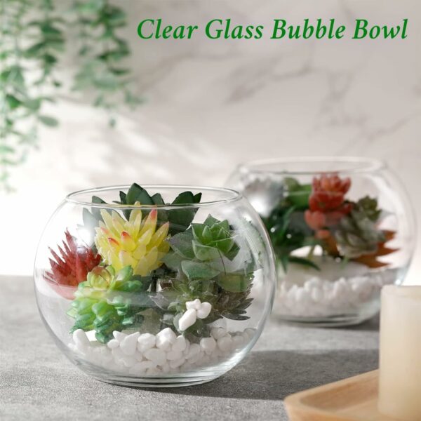 Ecofynd Glass Terrarium Bowl - 4inch Clear Aquarium Bowl - Image 5