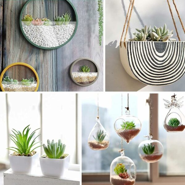 Pack of 6 Artificial Succulent Plants for Home Decor - Multi Size - Image 6