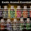 Pack of 5 Essential Oils - Lavender, Lemongrass, Jasmine, Orange, Rose