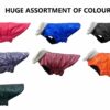 Windproof Waterproof Dog Winter Coat - XX-Large 30 Inch