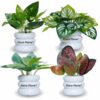Artificial Plants for Home Decor - Pack of 4, Multicolor