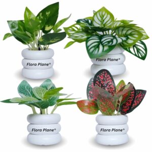 Artificial Plants for Home Decor - Pack of 4, Multicolor