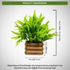 Artificial Bamboo Leaves in Wooden Pot - 17 cm Home & Office D?cor