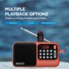 Pocket Mate Digital FM Radio Bluetooth Speaker - 8H Playtime, Type C Charging, Compact Design