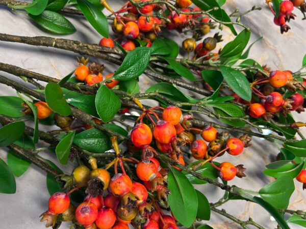 Real Touch Artificial Rosehips Berries Stick - 88 CM - Image 4