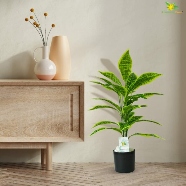Artificial Snake Plant with Black Pot - 71.1 cm Tall, 26 Leaves - Image 4