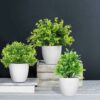 Mini Eucalyptus Faux Potted Plants for Home Decor