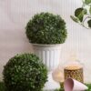 Set of 2 Eucalyptus Boxwood Topiary Balls - 28 cm Green