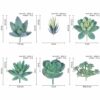 Artificial Succulent Plants Set - 6-Piece Home Decor