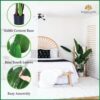 5 Foot Artificial Silk Bird of Paradise Palm Tree - Potted Plant
