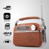 Portable FM Radio with Bluetooth, USB & SD Slot - 3 Band