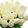 5 Pcs Artificial Tulip Flowers Bunches for Home Decor - Cream